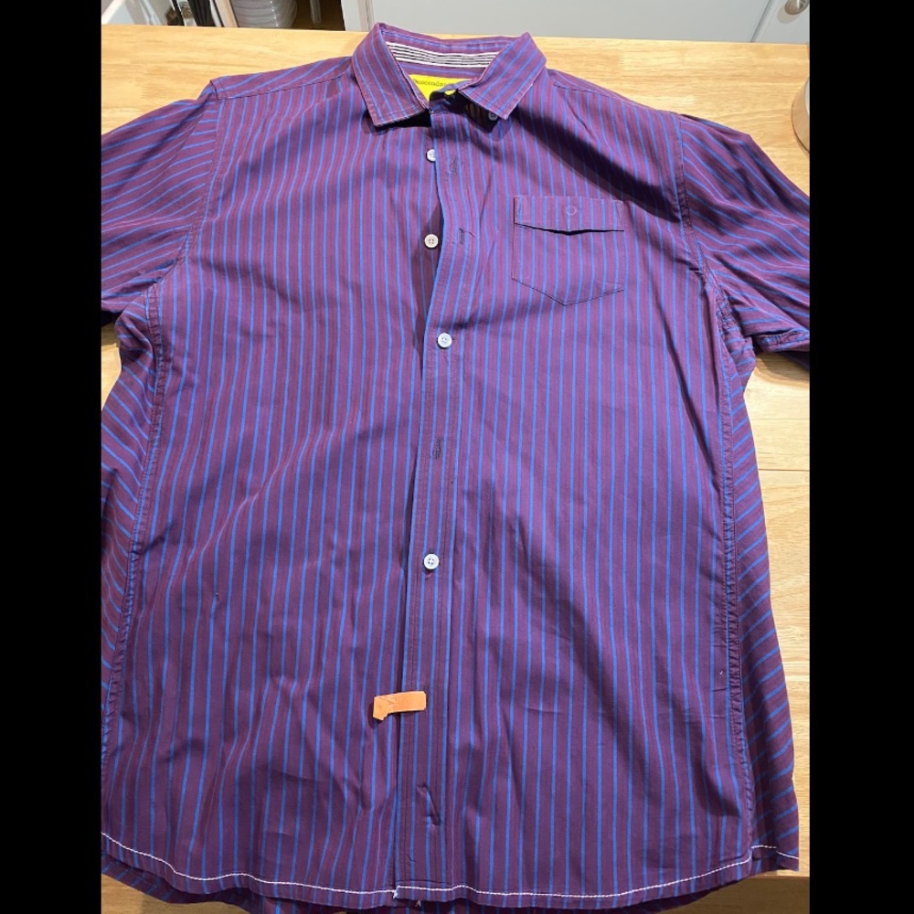 Descendants of Thieves, by Dres Ladro Button Up